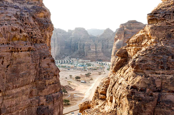 شادن تو